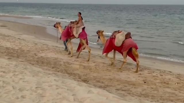 Video Camel Safari DOHA dec2021